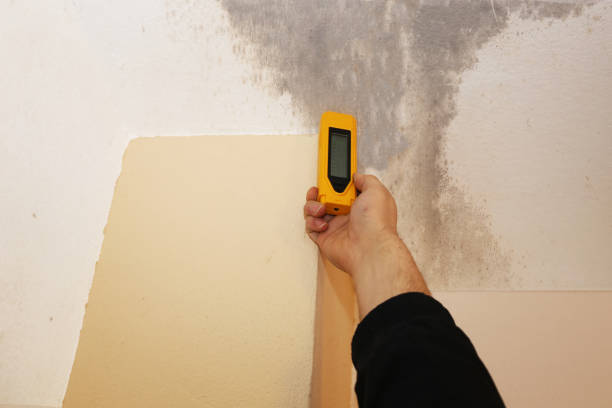 Best Real Estate Mold Inspection  in Wellsboro, PA