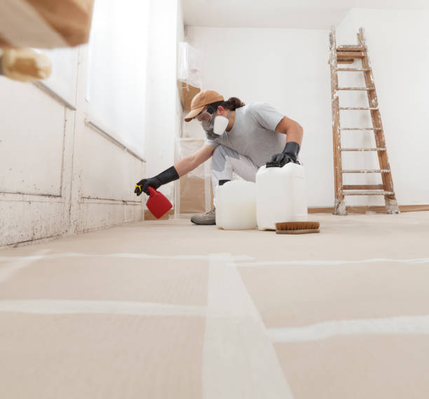 Best Mold-Related Health Consultation  in Wellsboro, PA